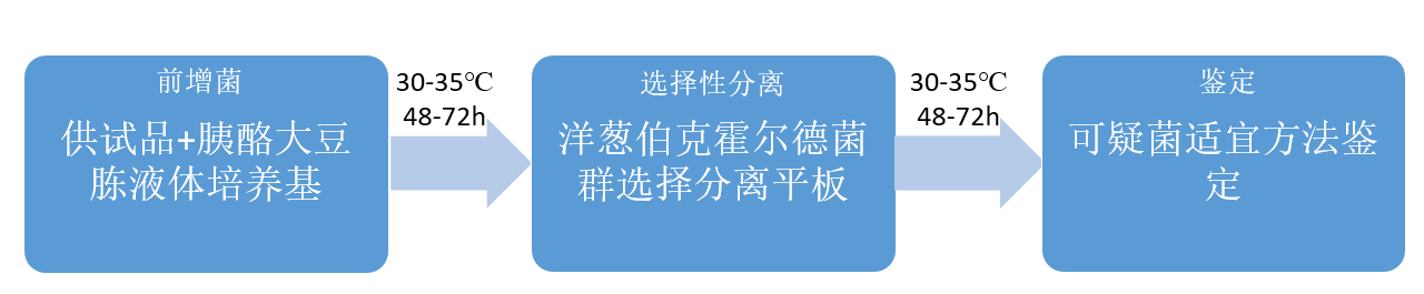 制藥行業中的隱形殺手-洋蔥伯克霍爾德菌群