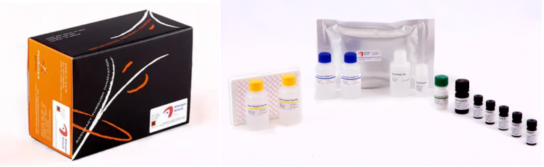 牛奶酪蛋白的檢測 牛奶酪蛋白的檢測