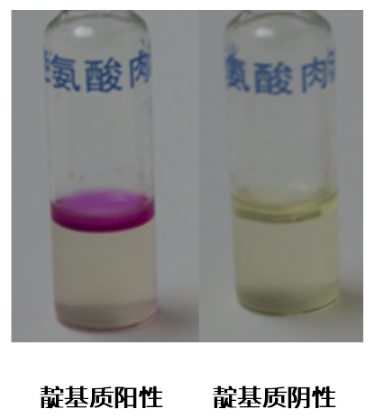 福氏志賀氏菌“靛基質試驗”的結果討論 福氏志賀氏菌“靛基質試驗”的結果討論