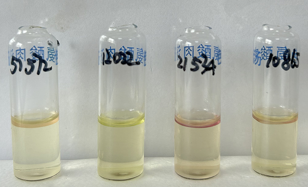 福氏志賀氏菌“靛基質試驗”的結果討論