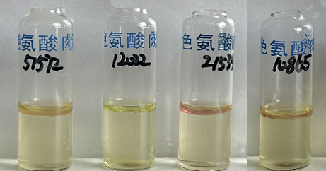 福氏志賀氏菌“靛基質試驗”的結果討論 福氏志賀氏菌“靛基質試驗”的結果討論