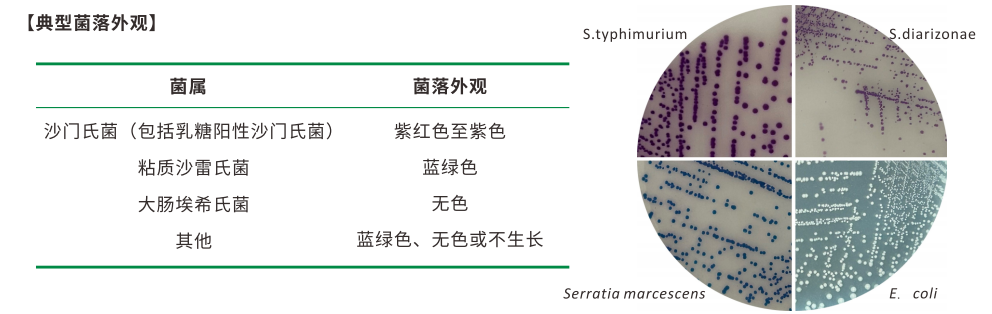 沙門檢測新助手—沙門氏+顯色培養基 沙門檢測新助手—沙門氏+顯色培養基