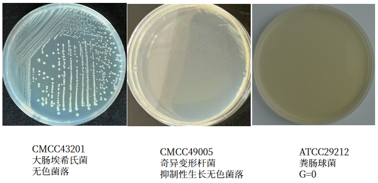 沙門檢測新助手—沙門氏+顯色培養基 沙門檢測新助手—沙門氏+顯色培養基