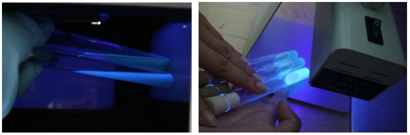 GB 4789.38－2025《食品安全國家標準　食品微生物學檢驗　大腸埃希氏菌計數》解讀