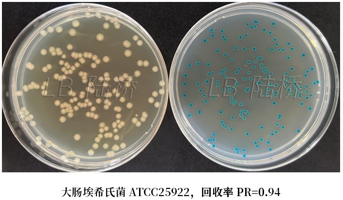 GB 4789.38－2025《食品安全國家標準　食品微生物學檢驗　大腸埃希氏菌計數》解讀