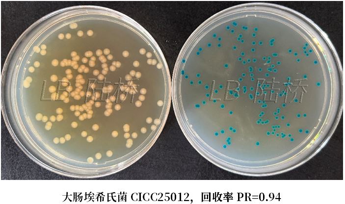 GB 4789.38－2025《食品安全國家標準　食品微生物學檢驗　大腸埃希氏菌計數》解讀