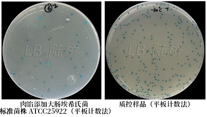 GB 4789.38－2025《食品安全國家標準　食品微生物學檢驗　大腸埃希氏菌計數》解讀